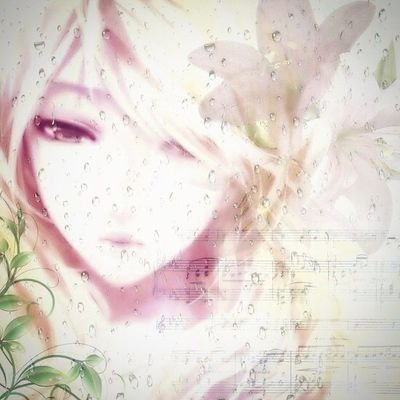 ster1lity's profile picture. 