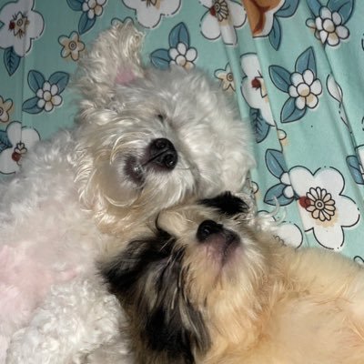 teenaysss's profile picture. 🌱