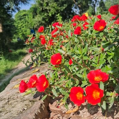 abhi96nav's profile picture. writer