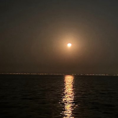 AAlakhyr9861's profile picture. مَلأنَا البَرَّ حَتَّى ضاقَ عَنَّا ونَحْنُ البَحْرُ نَمْلَؤُهُ سَفِينا إذا بَلَغَ الرَّضِيعُ لَنَا فِطاماً تَخِرُّ لَهُ الجَبابِرُ ساجِدِينا🇸🇦