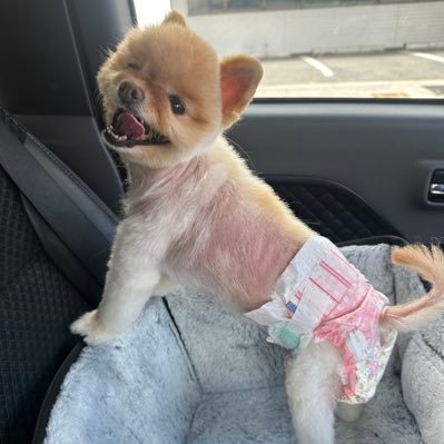 7f_yuu's profile picture. È di nuovo a questo luogo del giorno. @seven7f_ 気軽にフォローしてください！ コンセプトは【アットホーム】と【大人の秘密基地】 #スタッフ募集中！！ 遠隔サイト https://t.co/5RvxDmpg8s