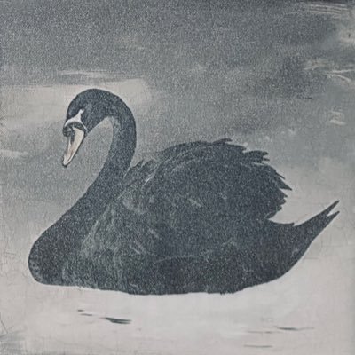 EricTheHeretic's profile picture. perpetually living on a timeline not parallel to the present