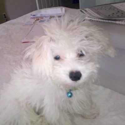 jajashome's profile picture. 