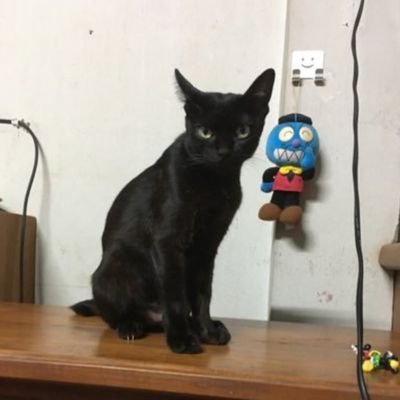 Preacher_xgod's profile picture. 