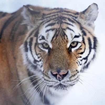 sxsx20st's profile picture. 随心随性随缘,乌七八糟的骗子请绕行。