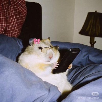 merogaro's profile picture. Digital Marketing Expert | Journalist | Social Sci | Gamer | Angry Feminist | Vgn | Zurda