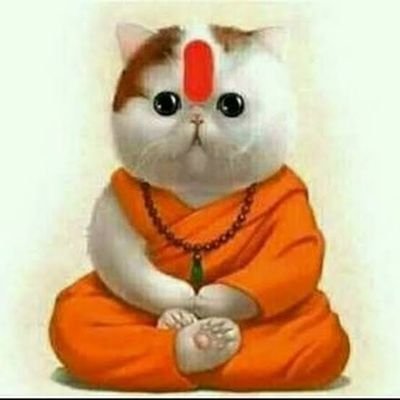 ma4912446's profile picture. historian philosopher