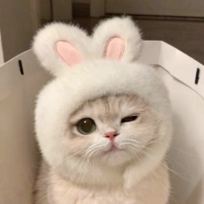 lvrks0nly's profile picture. いつか2人で笑い話に出来る日がきっと来るはず👦🏻🍒︎✩