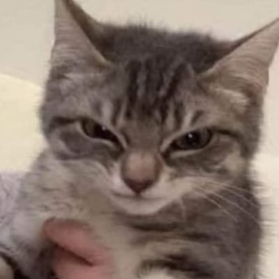 Culionarrecho97's profile picture. 