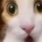 QingX40541's profile image