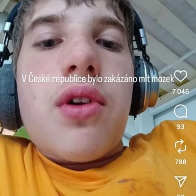 ministrchaosu's profile picture. vladni zmocnenec pro pravdu