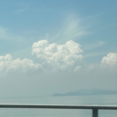 Bels1232559's profile picture. 