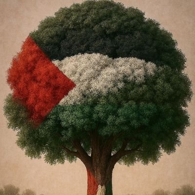 edgarraulmarti1's profile picture. 