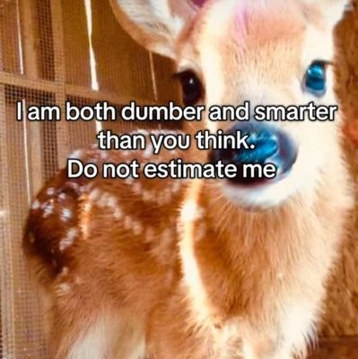 halfthewil's profile picture. 