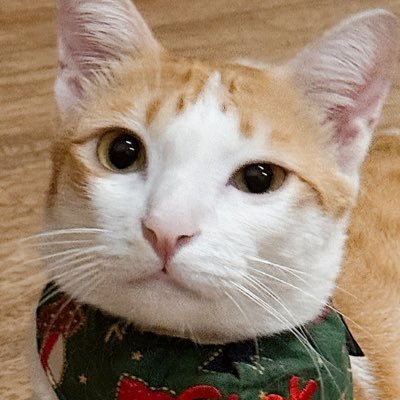 j18_am's profile picture. 