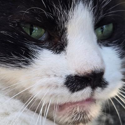 noblemindedness's profile picture. 当アカウントの写真を別の何かに転載される場合、必ず事前にご連絡をお願いいたします。
善良な目的に限り写真の収集を許可することがあります。
AI学習等は善良な目的に含みません。