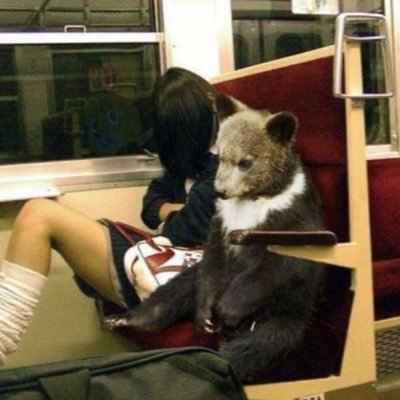 prettydolljuju's profile picture. free masonry ? priv: @x_yllium גורה חמודה על גבול  ההתאבדות