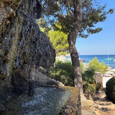 SimonCapo's profile picture. 