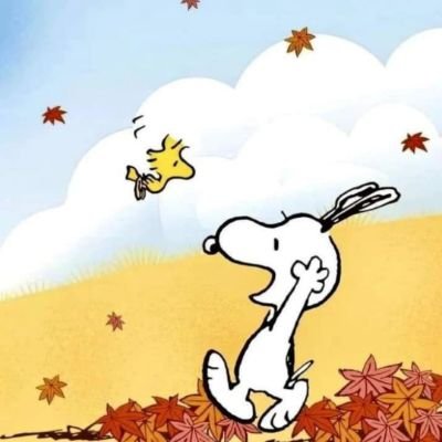 ploylyloverly's profile picture. You can follow me