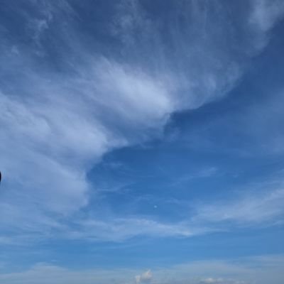 sliceofmal's profile picture. 