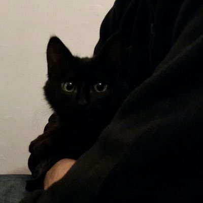 Vampirecat_444's profile picture. i believe in me | seraphic