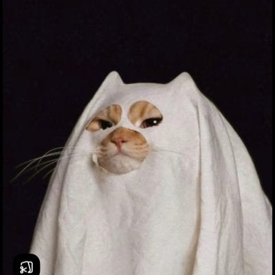 Orivis9's profile picture. 