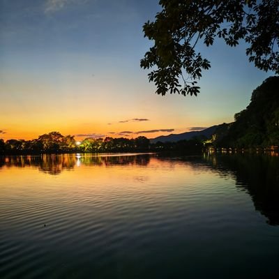 fuzhao1011's profile picture. 海内存知己，天涯若比邻