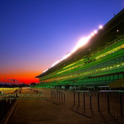 nomi56928981's profile picture. 競馬🐴好きです！よろしくです！