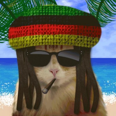 AALZ112's profile picture. Not dead yet — cats won’t allow it 🐾😹