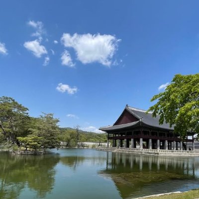 seoyunmo's profile picture. Black Wings