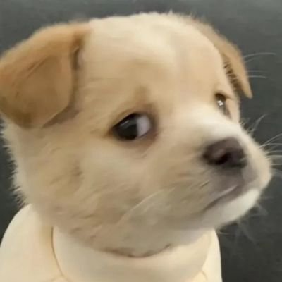 @TurbulentStuff