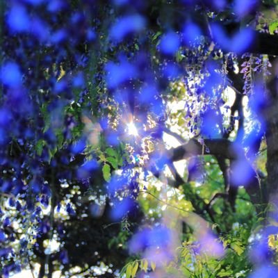 723_takatsu's profile picture.