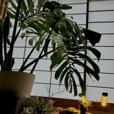 Ryoma_0525_'s profile picture. 「好きだから通う」お店をつくる店舗アドバイザー |価格より好きで選んでもらうお店づくり |いいお客さんもスタッフも自然に集まる仕組みを紹介 |口コミが自然と広がり、気付けば人気店になれる！|今まで口コミが怖くて開けなかったが見るのが楽しみになる| Google口コミ1ヶ月で20件以上の☆5を獲得できた仕組みを紹介|