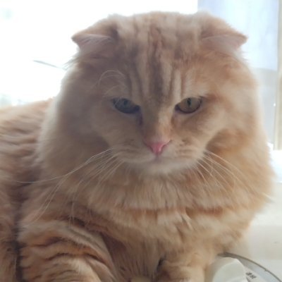 sora20100103's profile picture. 