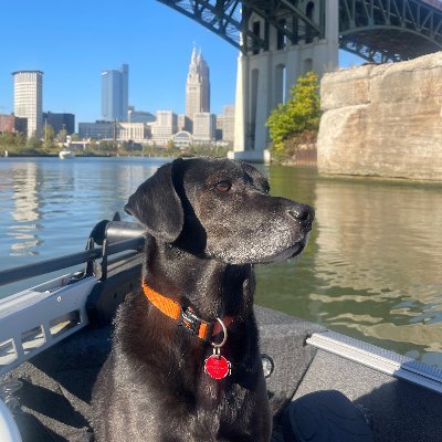 JimKukral's profile picture. Admiral of the Cleveland Floaters, the Savannah Bananas of the Great Lakes. Not kidding.
