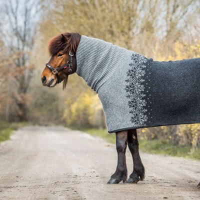 twittkims's profile picture. Interesse for mellommenneskelige relasjoner og salg / markedsføring.