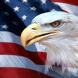 1DirtRoadAnthem's profile picture. It looks like gravel but it feels like gold. If my necks a little red it’s cause I am one. Forged by the United States Marine Corps/RECON In God We Trust