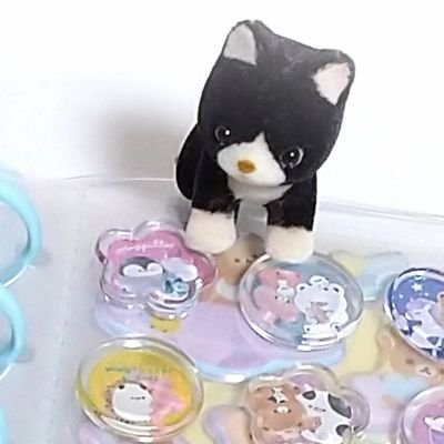 Ri_ko_ne_ko's profile picture. 🩵平成女児🤍可愛いものが好き🐈‍⬛