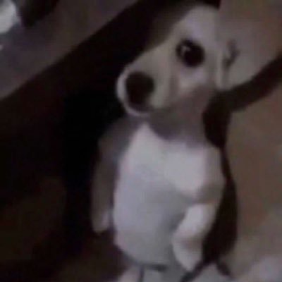 roryy_rq's profile picture. 🩷🩷