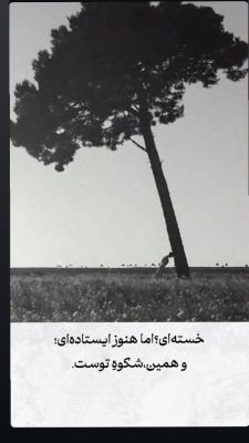 mozafar950649's profile picture. 