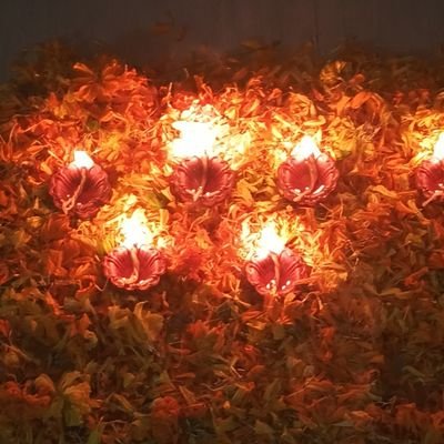 MKanauziya4405's profile picture. 🚒 fiting