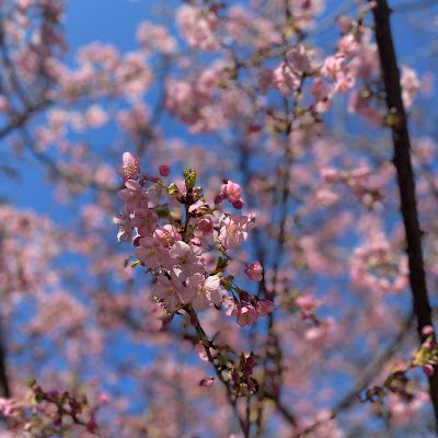 ma_zeng24917's profile picture. 