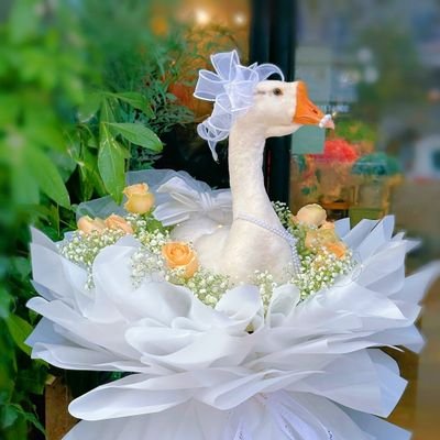 PDebells's profile picture. 🥦姐妹互关FB，关注必回关🤝
🥦🐱🐷ติดตามกันและกัน
🥦其号也可关注:@lanmao2025
 @zhubaobao2025  
    @AMEYAWKISAAC1