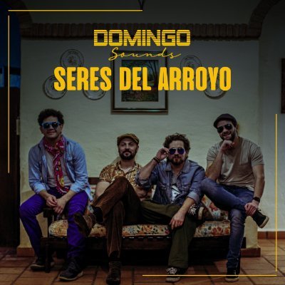 domingosounds's profile picture. “Seres del arroyo” ya está disponible en todas las plataformas digitales