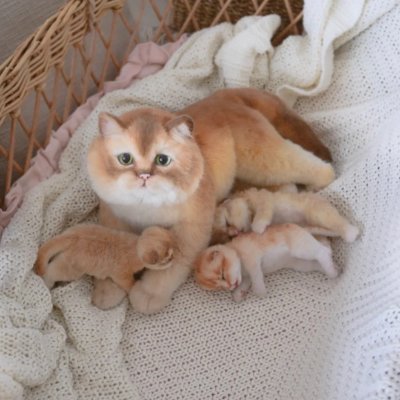 Indie874500's profile picture. 👑 Attitude & Confidence                                             🌍 Ambitious & Positive