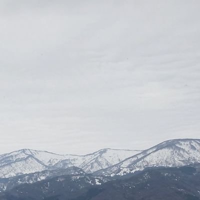 i_rotoridorino's profile picture. 雑多垢。のんびりゆっくり。