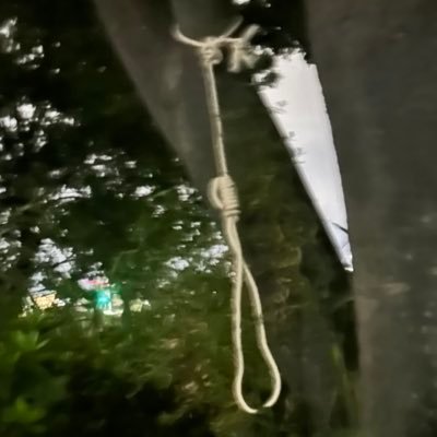 CArocketFuel's profile picture. 