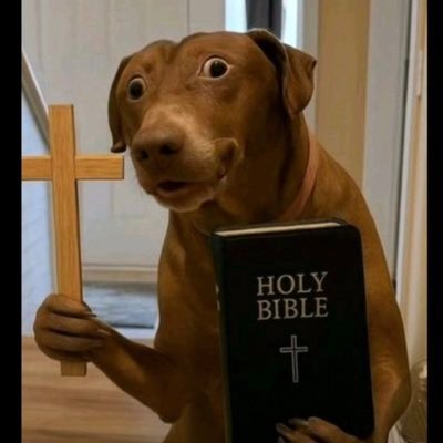 MrSweet040's profile picture. I'm just simple as the word means