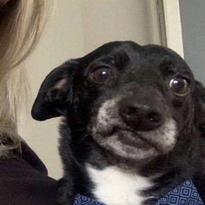 userlaux's profile picture. 𝑻𝒐𝒅𝒐 𝒍𝒐 𝒒𝒖𝒆 𝒒𝒖𝒊𝒆𝒓𝒐 𝒆𝒔 𝒉𝒖𝒏𝒅𝒊𝒓𝒎𝒆 𝒆𝒏 𝒕𝒖 𝒎𝒊𝒓𝒂𝒅𝒂
