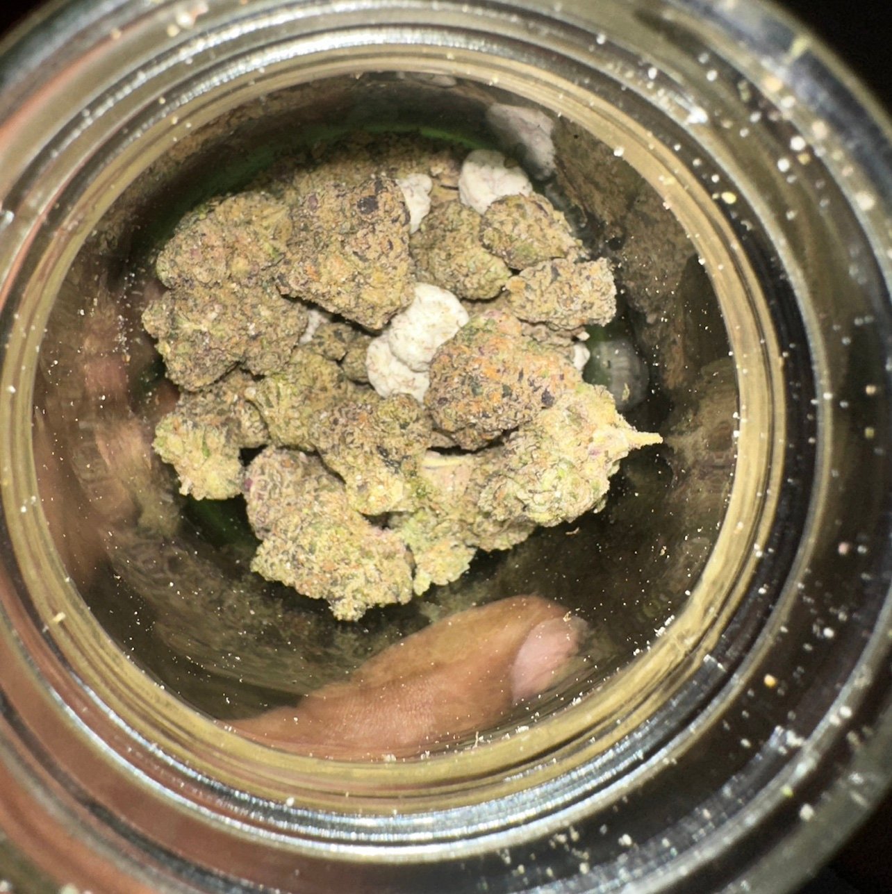 FreakyDudeSC's profile picture. 